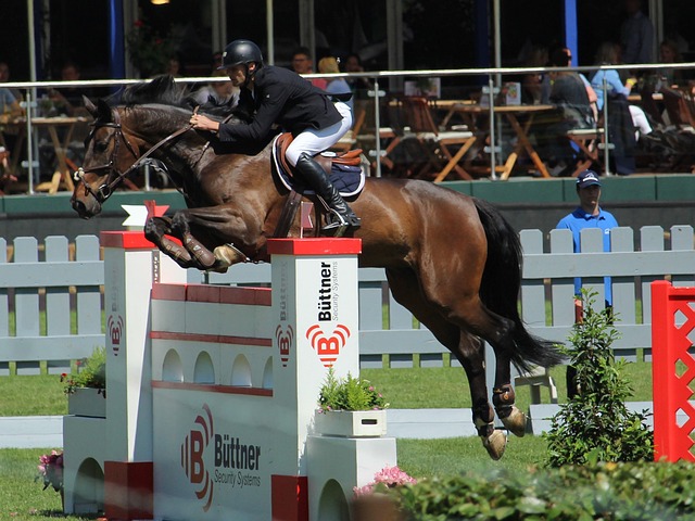 内容的需求 内容的需求