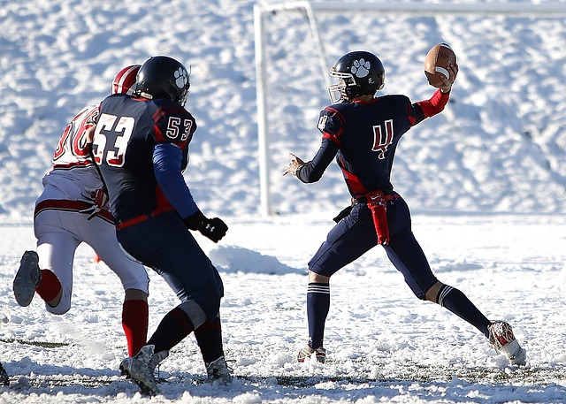 对裁判决策 对裁判决策