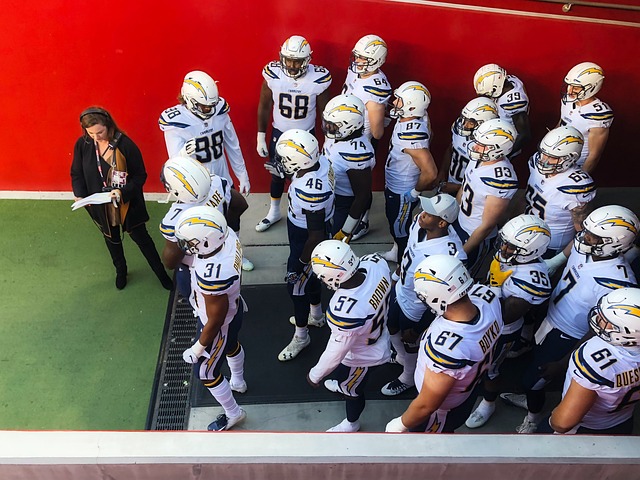 无疑是出于 无疑是出于