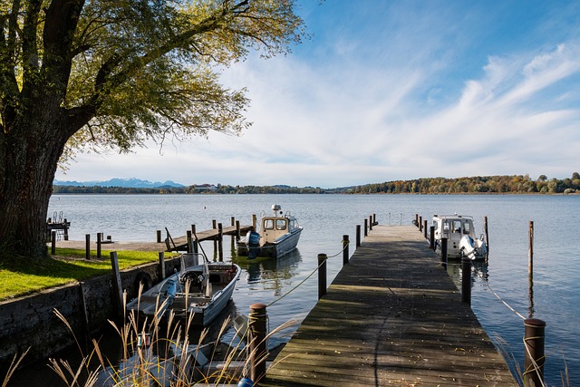 本土队员的 本土队员的