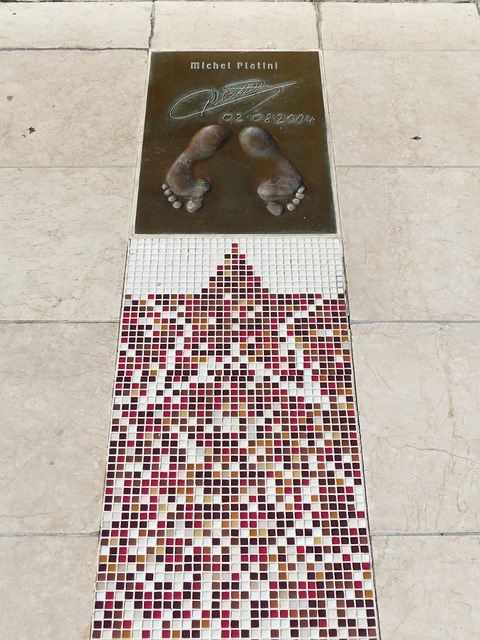 但他們的命 但他們的命